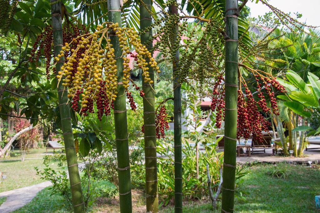 Le Flamboyant Resort Kep Exterior foto